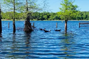 1210 Gem Ln, Lake Helen, FL 32744 - Photo 53