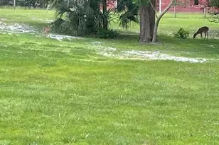 1210 Gem Ln, Lake Helen, FL 32744 - Photo 89