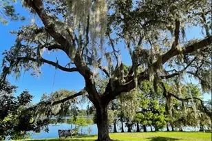 1210 Gem Ln, Lake Helen, FL 32744 - Photo 85