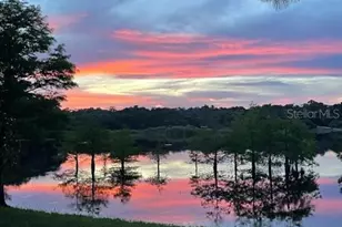 1210 Gem Ln, Lake Helen, FL 32744 - Photo 91