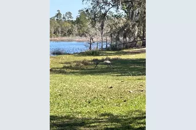 1210 Gem Lane, Lake Helen, FL 32744 - Photo 87