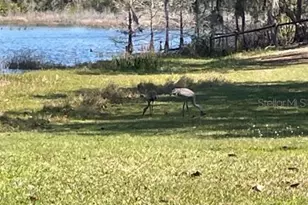 1210 Gem Ln, Lake Helen, FL 32744 - Photo 87