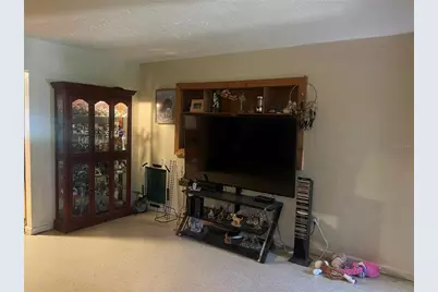 1410 E Fern Road, Lakeland, FL 33801 - Photo 9