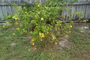 1074 Wilmington Dr, Deltona, FL 32725 - Photo 43