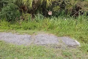 Lake Harney Rd, Geneva, FL 32732 - Photo 1