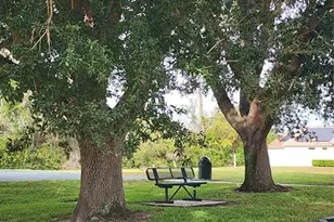 3232 Alling Ct, Deltona, FL 32725 - Photo 31