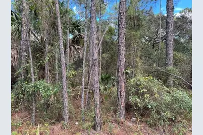 12th Avenue, Deland, FL 32724 - Photo 1