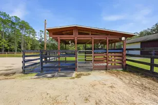 460 Spring Forest Dr, New Smyrna Beach, FL 32168 - Photo 53