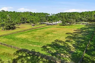 460 Spring Forest Dr, New Smyrna Beach, FL 32168 - Photo 71