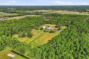 460 Spring Forest Dr, New Smyrna Beach, FL 32168 - Photo 69