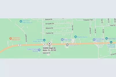 55406 Hugh Drive, Astor, FL 32102 - Photo 3