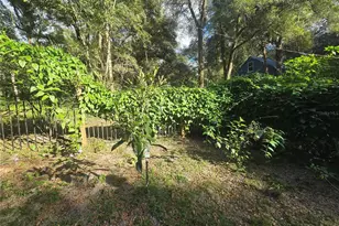 940 W Minnesota Ave, Orange City, FL 32763 - Photo 75