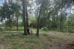 940 W Minnesota Ave, Orange City, FL 32763 - Photo 69