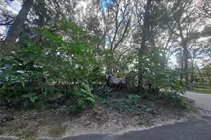 940 W Minnesota Ave, Orange City, FL 32763 - Photo 45