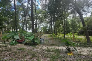 940 W Minnesota Ave, Orange City, FL 32763 - Photo 29