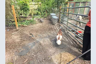 940 W Minnesota Avenue, Orange City, FL 32763 - Photo 67