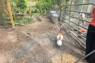 940 W Minnesota Ave, Orange City, FL 32763 - Photo 67