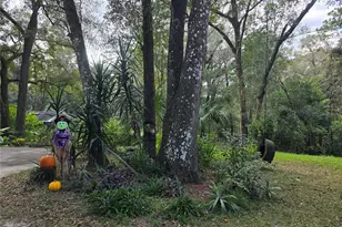 940 W Minnesota Ave, Orange City, FL 32763 - Photo 63