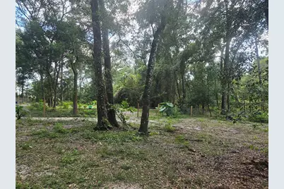940 W Minnesota Avenue, Orange City, FL 32763 - Photo 69