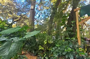 940 W Minnesota Ave, Orange City, FL 32763 - Photo 85