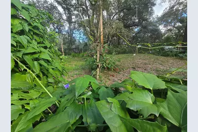 940 W Minnesota Avenue, Orange City, FL 32763 - Photo 77