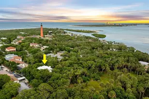 110 Ocean Way Dr, Ponce Inlet, FL 32127 - Photo 91