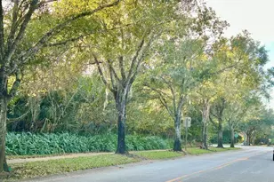 3787 Carrick Dr, Ormond Beach, FL 32174 - Photo 57