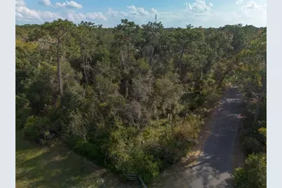 625 Lake Butler Avenue, Osteen, FL 32764 - Photo 13