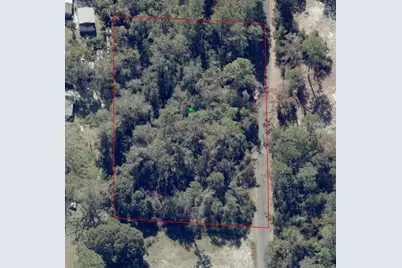 625 Lake Butler Avenue, Osteen, FL 32764 - Photo 3