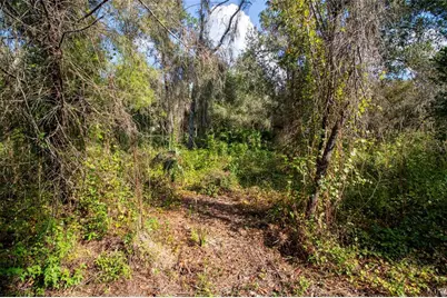 625 Lake Butler Avenue, Osteen, FL 32764 - Photo 17
