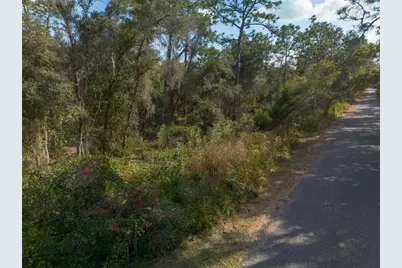 625 Lake Butler Avenue, Osteen, FL 32764 - Photo 3