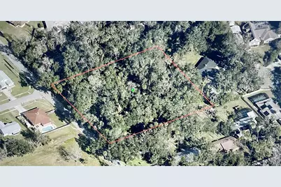 Pepper Hill Road, Port Orange, FL 32129 - Photo 3