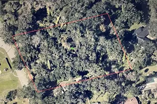 Pepper Hill Rd, Port Orange, FL 32129 - Photo 1