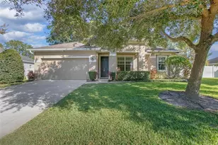 703 Ostrich Fern Ln, Deland, FL 32720 - Photo 1