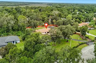 6248 Palomino Cir, Port Orange, FL 32127 - Photo 51