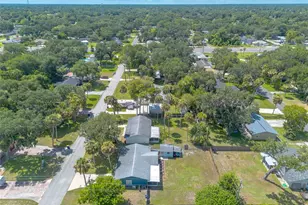 1804 Mango Tree Dr, Edgewater, FL 32132 - Photo 41