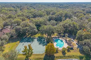 431 Secluded Oaks Trail, Deland, FL 32724 - Photo 43