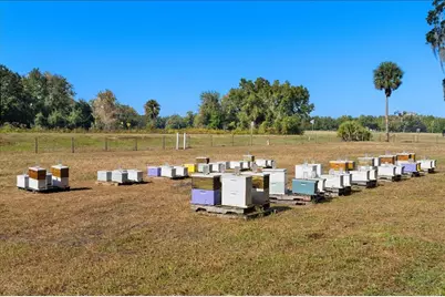 4420 Daugharty Road, Deland, FL 32724 - Photo 87