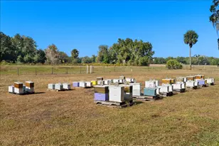 4420 Daugharty Rd, Deland, FL 32724 - Photo 87