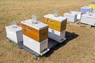 4420 Daugharty Rd, Deland, FL 32724 - Photo 85