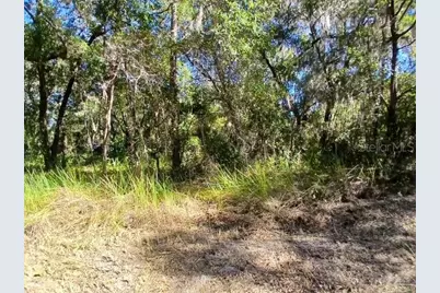 S Kentucky Avenue, Deland, FL 32724 - Photo 3