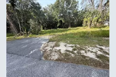 1502 Carver Street, Deland, FL 32720 - Photo 7