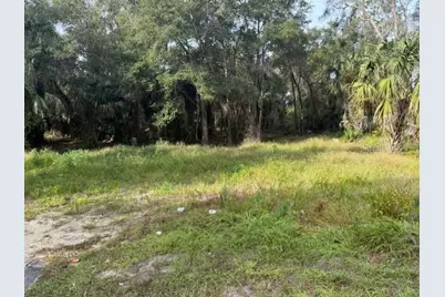 1502 Carver Street, Deland, FL 32720 - Photo 5