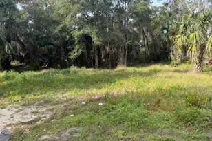 1502 Carver St, Deland, FL 32720 - Photo 5