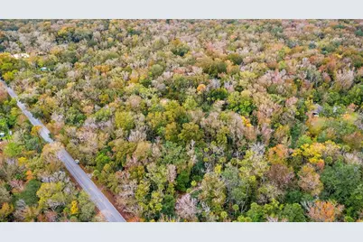 1100 Maytown Road, Oak Hill, FL 32759 - Photo 9