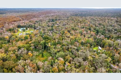 1100 Maytown Road, Oak Hill, FL 32759 - Photo 7