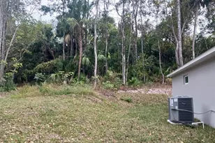 5373 Park Ave, De Leon Springs, FL 32130 - Photo 3