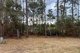 44645 Twilight Trail, Deland, FL 32720 - Photo 37