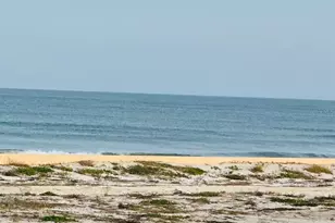 2101 N Atlantic Ave, Daytona Beach, FL 32118 - Photo 19