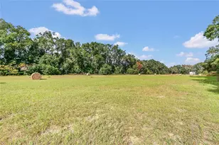 1801 W Hwy 329, Citra, FL 32113 - Photo 23